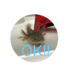 うちのうぱこ（個別スタンプ：5）