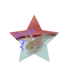 うちのうぱこ（個別スタンプ：7）