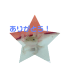 うちのうぱこ（個別スタンプ：12）