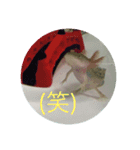 うちのうぱこ（個別スタンプ：13）