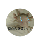 うちのうぱこ（個別スタンプ：15）
