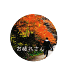 シックスナイン（個別スタンプ：15）