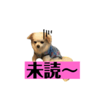 チロくんの面白スタンプ（個別スタンプ：8）