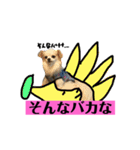 チロくんの面白スタンプ（個別スタンプ：22）