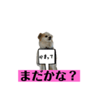 チロくんの面白スタンプ（個別スタンプ：26）