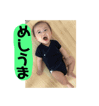 K.Y 3156（個別スタンプ：7）
