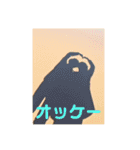 日々の使えるスタンプ第2（個別スタンプ：14）