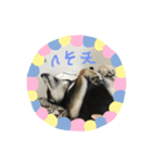 クオ2（個別スタンプ：5）