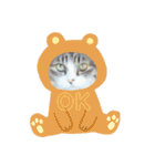猫ねこネコな毎日（個別スタンプ：21）