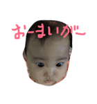 タオちゃんのスタンプ（個別スタンプ：4）