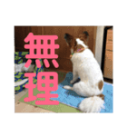 ぷりんくんスタンプ②（個別スタンプ：5）