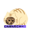 うっちーのねこ（個別スタンプ：2）