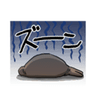 トド(動物)（個別スタンプ：11）