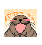 トド(動物)（個別スタンプ：15）