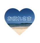 使える！日常の挨拶（個別スタンプ：3）