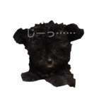 くろみ3（個別スタンプ：1）