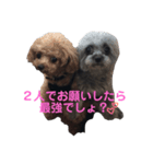 くろみ3（個別スタンプ：5）