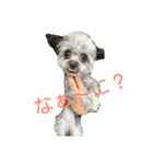くろみ3（個別スタンプ：6）