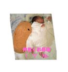 わが子の日常☆京星と種星☆（個別スタンプ：13）