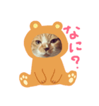 みけねこ モカちゃん♡（個別スタンプ：3）