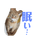 れおpart2（個別スタンプ：8）