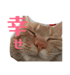 れおpart2（個別スタンプ：9）