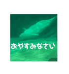 水族館と動物園の日常（個別スタンプ：3）