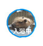 水族館と動物園の日常（個別スタンプ：11）