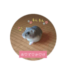 ちぃの一言（個別スタンプ：2）