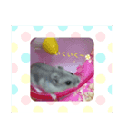 ちぃの一言（個別スタンプ：5）