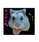ちぃの一言（個別スタンプ：7）