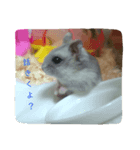 ちぃの一言（個別スタンプ：8）