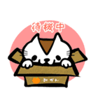 猫 ※ よく見かけるアイツ ※ ねこ（個別スタンプ：16）