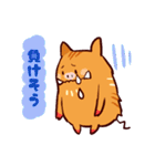 猪突猛進！イノパチくん（個別スタンプ：16）