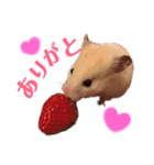 ハムスターだいふくのHappyすたんぷ！！（個別スタンプ：1）