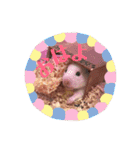 ハムスターだいふくのHappyすたんぷ！！（個別スタンプ：2）