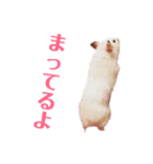 ハムスターだいふくのHappyすたんぷ！！（個別スタンプ：7）