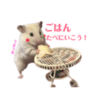 ハムスターだいふくのHappyすたんぷ！！（個別スタンプ：10）