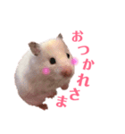ハムスターだいふくのHappyすたんぷ！！（個別スタンプ：11）