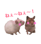 ハムスターだいふくのHappyすたんぷ！！（個別スタンプ：17）