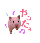 ハムスターだいふくのHappyすたんぷ！！（個別スタンプ：19）