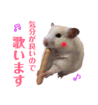ハムスターだいふくのHappyすたんぷ！！（個別スタンプ：24）