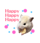 ハムスターだいふくのHappyすたんぷ！！（個別スタンプ：25）