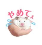 ハムスターだいふくのHappyすたんぷ！！（個別スタンプ：33）