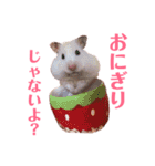 ハムスターだいふくのHappyすたんぷ！！（個別スタンプ：34）