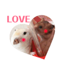 ハムスターだいふくのHappyすたんぷ！！（個別スタンプ：35）