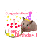 ハムスターだいふくのHappyすたんぷ！！（個別スタンプ：37）