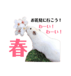 ハムスターだいふくのHappyすたんぷ！！（個別スタンプ：38）