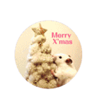 ハムスターだいふくのHappyすたんぷ！！（個別スタンプ：39）