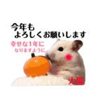 ハムスターだいふくのHappyすたんぷ！！（個別スタンプ：40）
